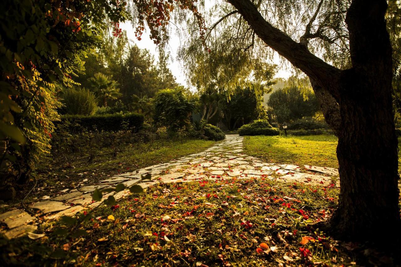 Hotel Berke Ranch&Nature Kemer Bagian luar foto