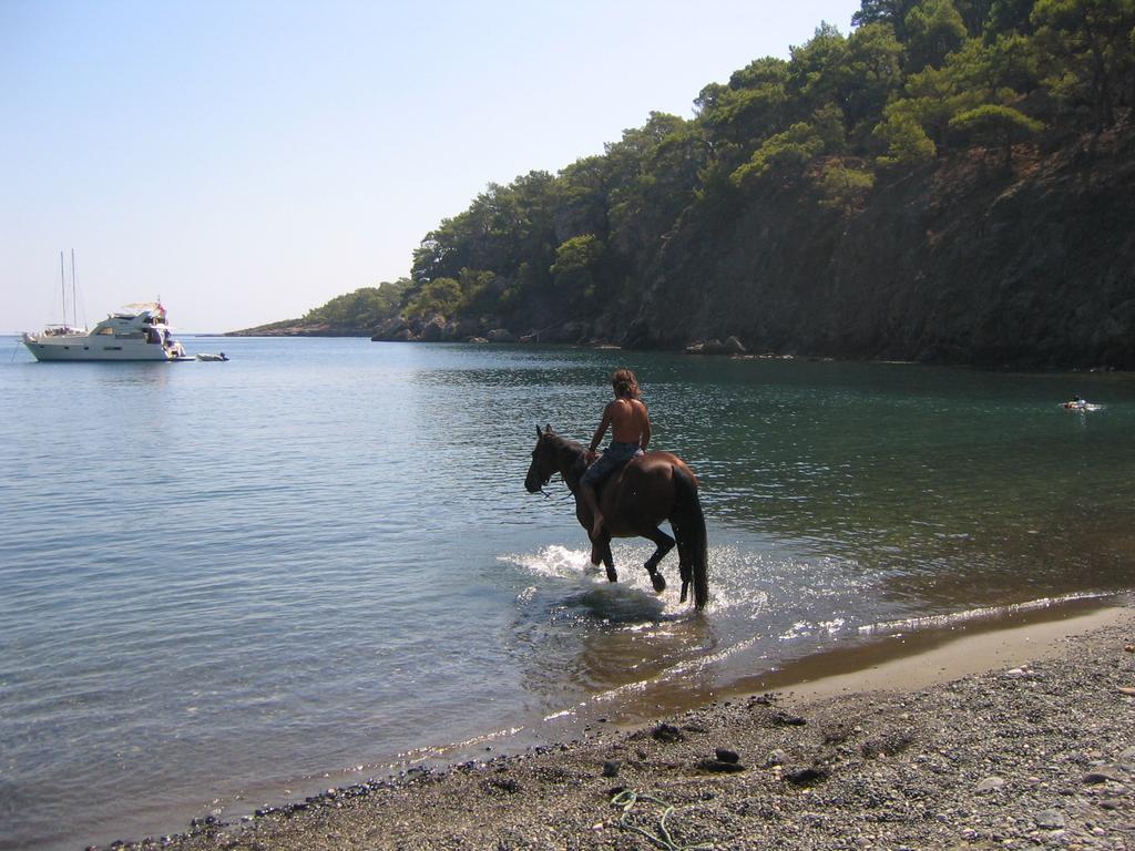 Hotel Berke Ranch&Nature Kemer Bagian luar foto
