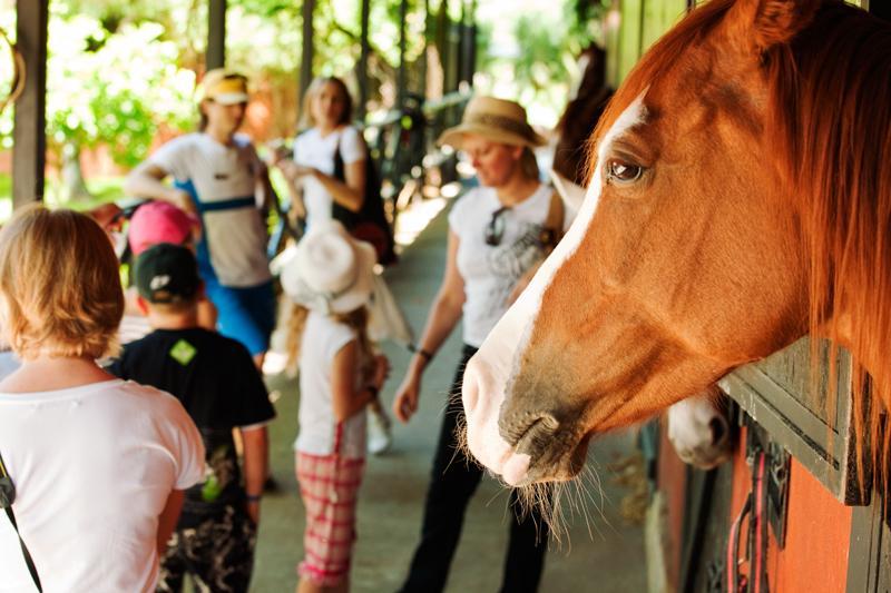 Hotel Berke Ranch&Nature Kemer Bagian luar foto
