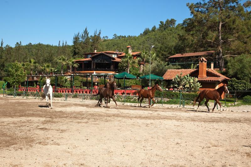 Hotel Berke Ranch&Nature Kemer Bagian luar foto